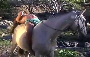 kyla cole et son cheval