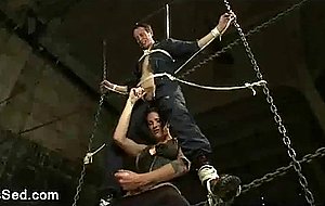 Morgan sucks dick to tied up guy until he cum
