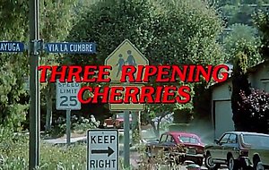 Three ripening cherries