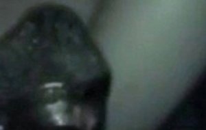 Shemale fucks guy doggy style part