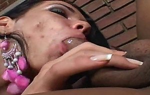 Two honey shemales kissing, sucking and fucking