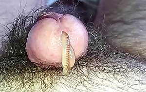 Worm video