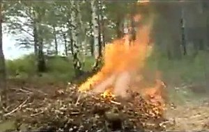 Petite pipe en forêt au coin du feu