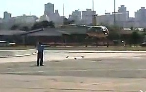 Honey Fucks In A Helicopter