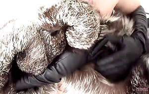 Skin & fur