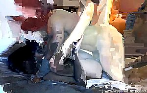 Stunning ebony cutie gets her pussy slammed