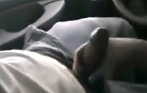 Hipster girl sucks a big cock in the drivers seat