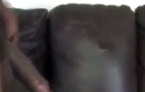 Black cock in white wifes mouth