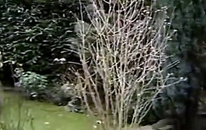 French mome intense fucked by bbc