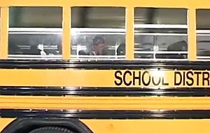Schoolbus sex