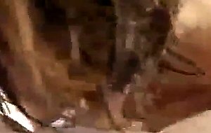 Girlfriend sucking me off - free sex, porn video on