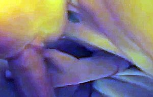 Nice teen whore sucking cock