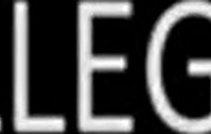 Young students coitus on college party