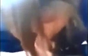 Cute young amateur sucking a dick