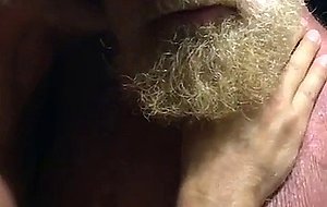 Hairy bears passionate kissing