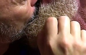 Hairy bears passionate kissing