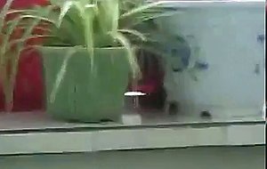 Chinese Grandpa Blowjob