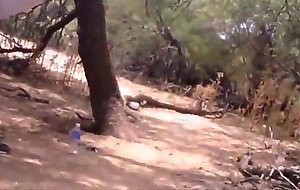 Cruising in a Spanish Forest