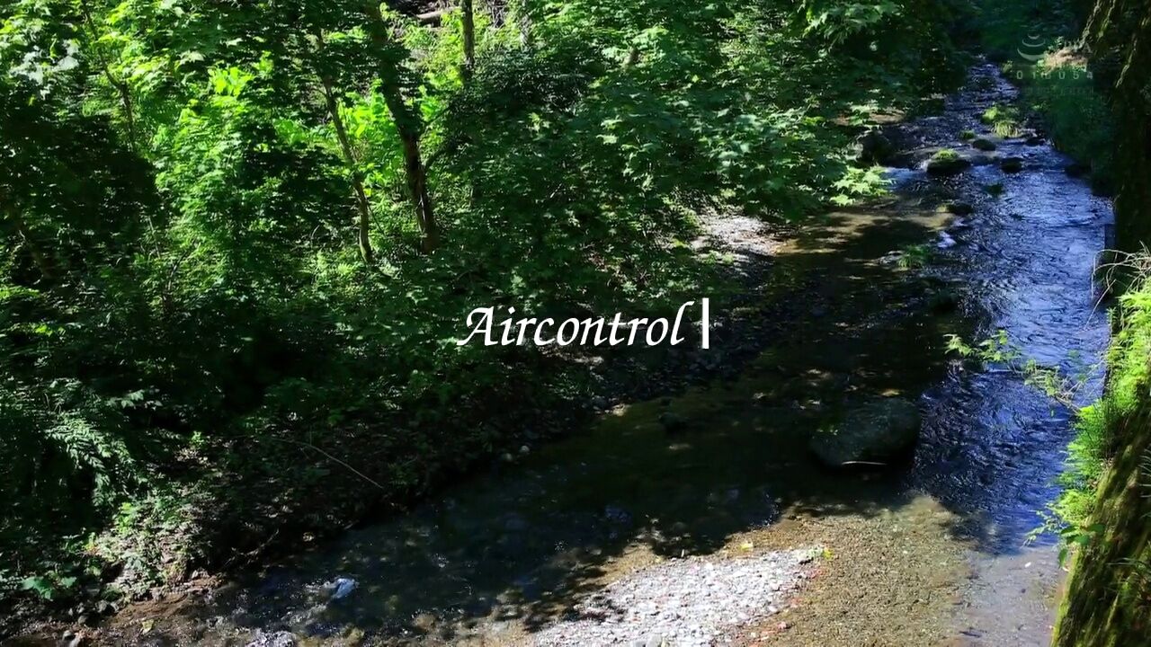 白崎由奈 CaribbeancomprとIroha Shirasakiのco-starring