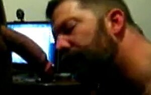 Hairy bear sucking cock