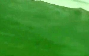Tree Twinks Dipping in a Pool
