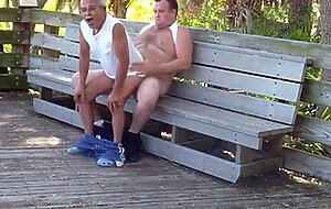 older gays have sex in public park