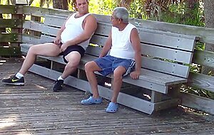 older gays have sex in public park