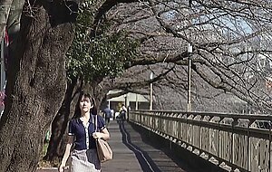 Hodv-21774 [sub] while my wife was traveling with her 