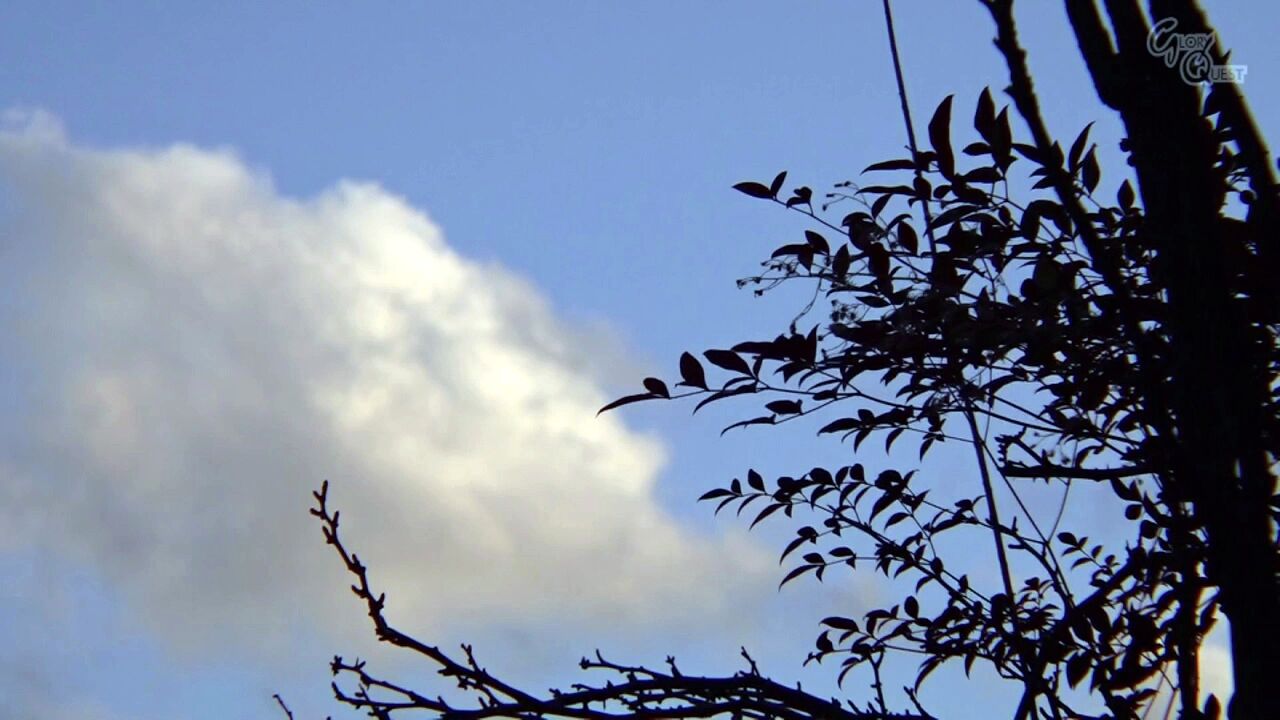 Gvh-565 sex appeal pta chairman and dirty student cou HD porn - SEXTVX.COM