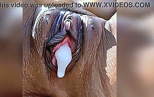 Creampie dripping amazing mature pussy cum inside big load beautiful pussy and ass gaped anal slut