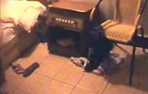 Undercover Operation: Chinese Amateur Adult Video