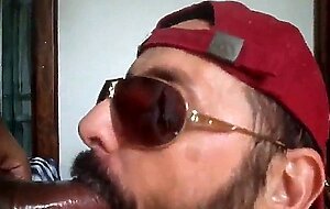 Rio de Janeiro Bull Sucking the Machos Off