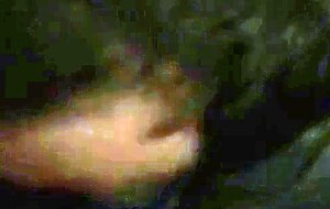 Ma bouche remplie de jus: une pipe pour un gros penis
