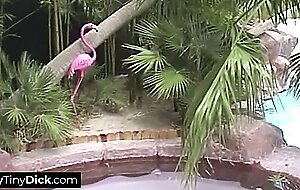 His wife took charge, sucking his tiny dick off
