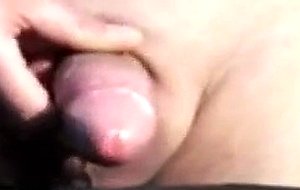 Mas 81