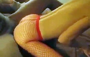 Cuckold films his wife getting fucked by bbc