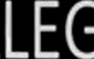 Banging party on college with alcohol